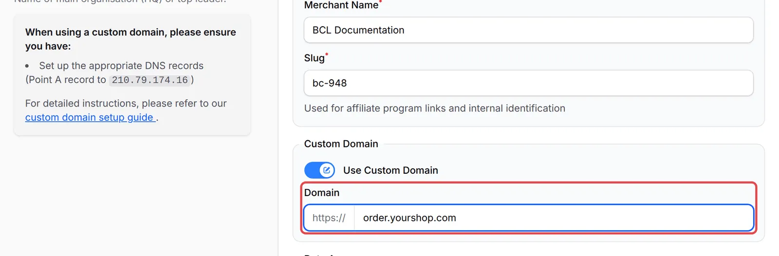Use Custom Domain di-on-kan, dengan ruangan Domain ditanda dan peringatan DNS di sebelah kiri