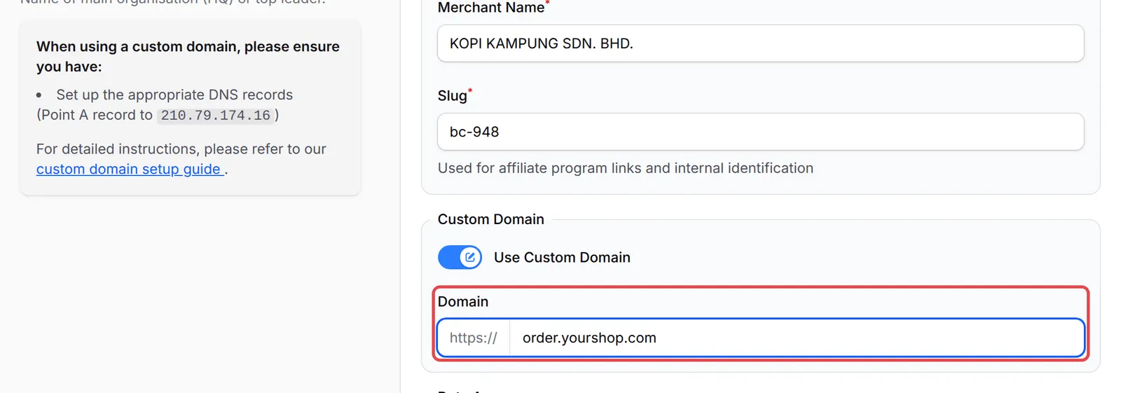 Use Custom Domain已开启，Domain栏位已标示，左边是DNS提醒