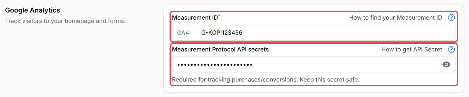 The Google Analytics section with the Measurement ID and Measurement Protocol API secrets fields highlighted
