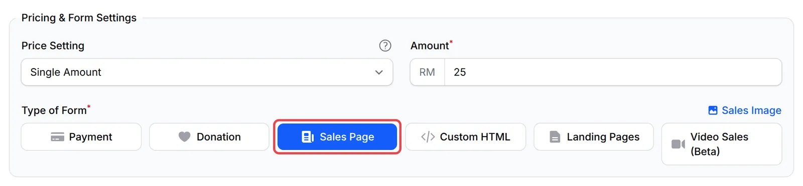 Type of Form按钮，已标示Sales Page